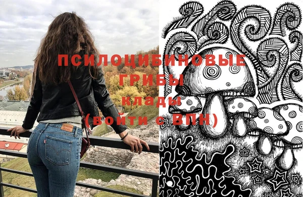 СК Нея